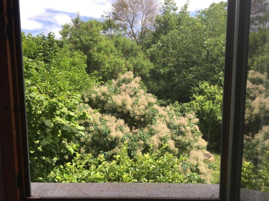 Budapest Garden Hostel 外观 照片